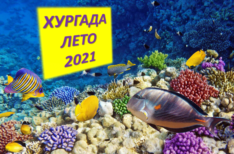 ХУРГАДА ЛЕТО 2021